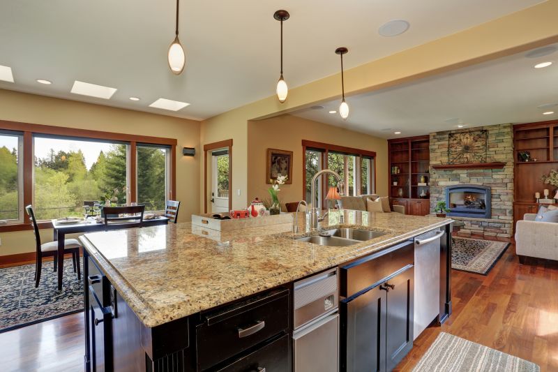 Luxury Home Kitchen Renovation